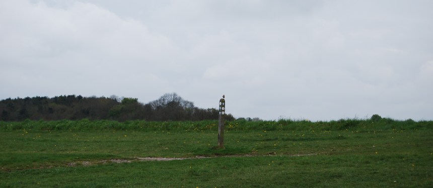 A wheatear drops in