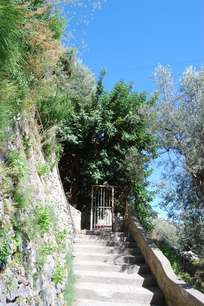 Positano's first wildlife conservation corridor/stairwell