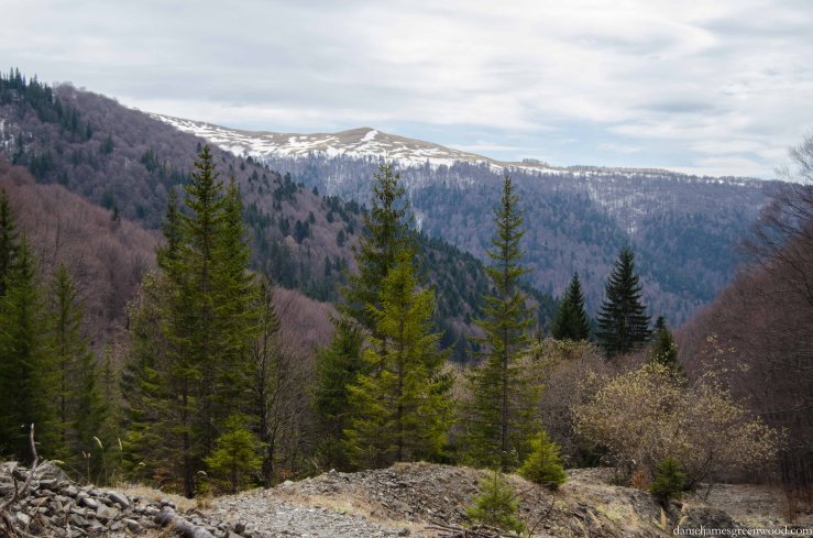 Carpathians lo-res-24