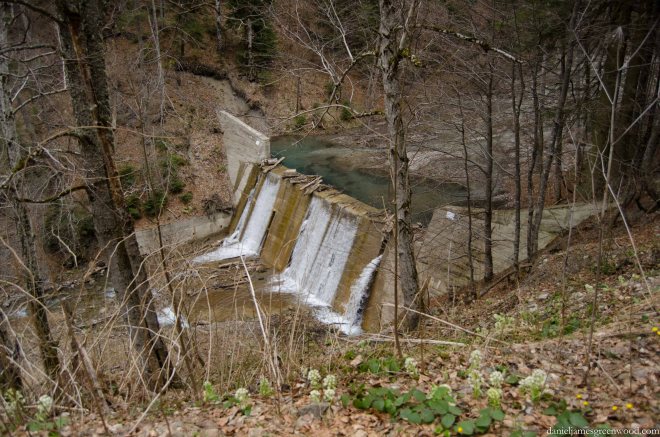 Carpathians lo-res-3