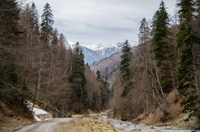 Carpathians lo-res-5