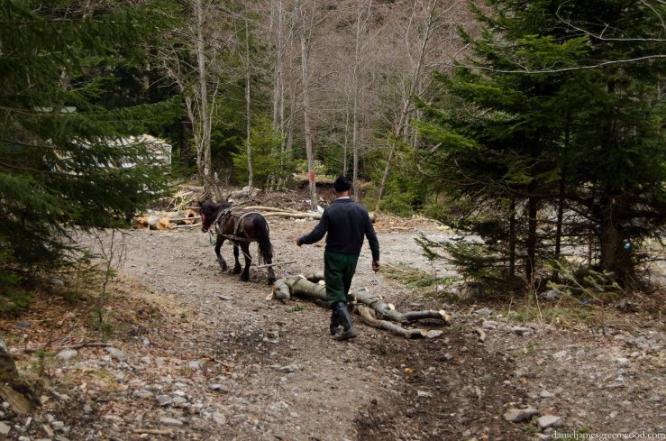 Carpathians lo-res-6