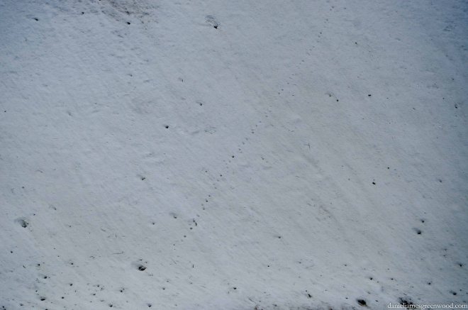 Carpathians lo-res-8