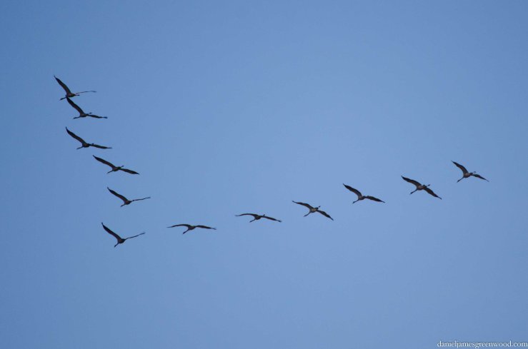 Hortobagy blog pics-11