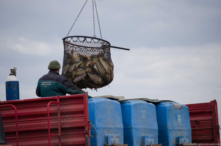 Hortobagy blog pics-17