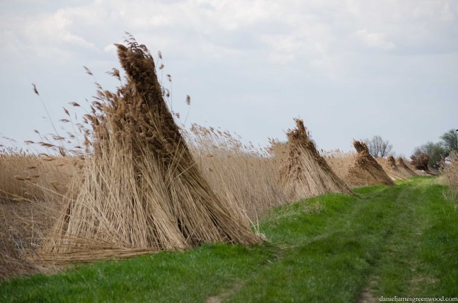 Hortobagy blog pics-20