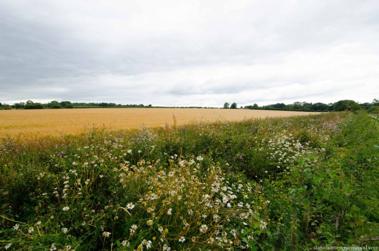 Cotswolds blog pics-14