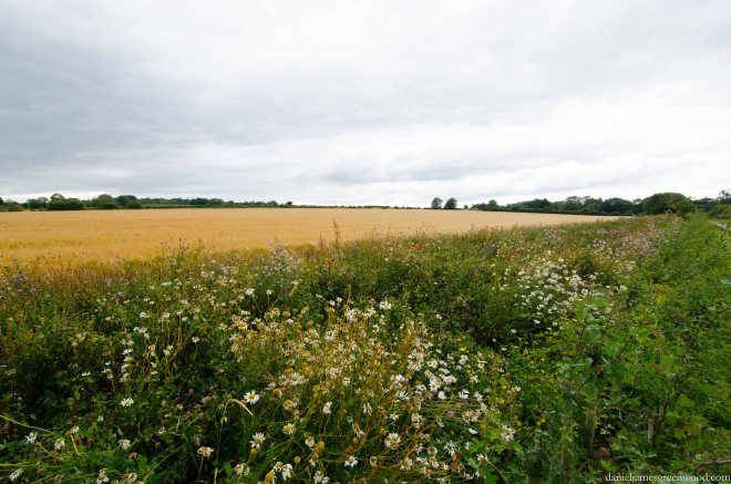 Cotswolds blog pics-14