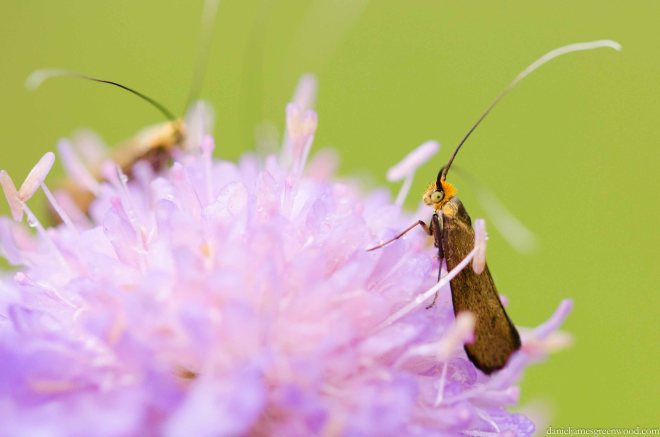 Cotswolds blog pics-30