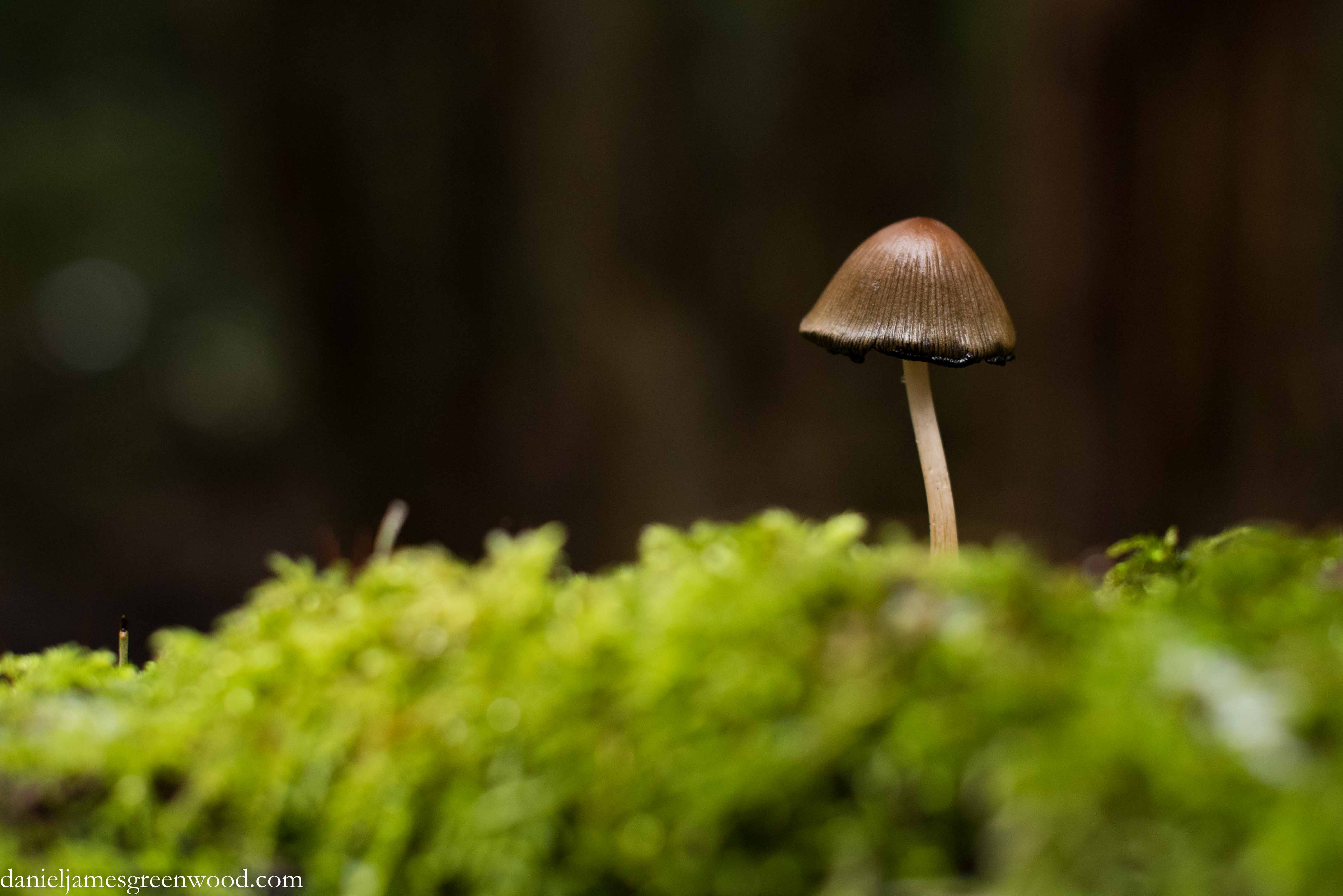 Coulsdon January 2016 blog pics-1