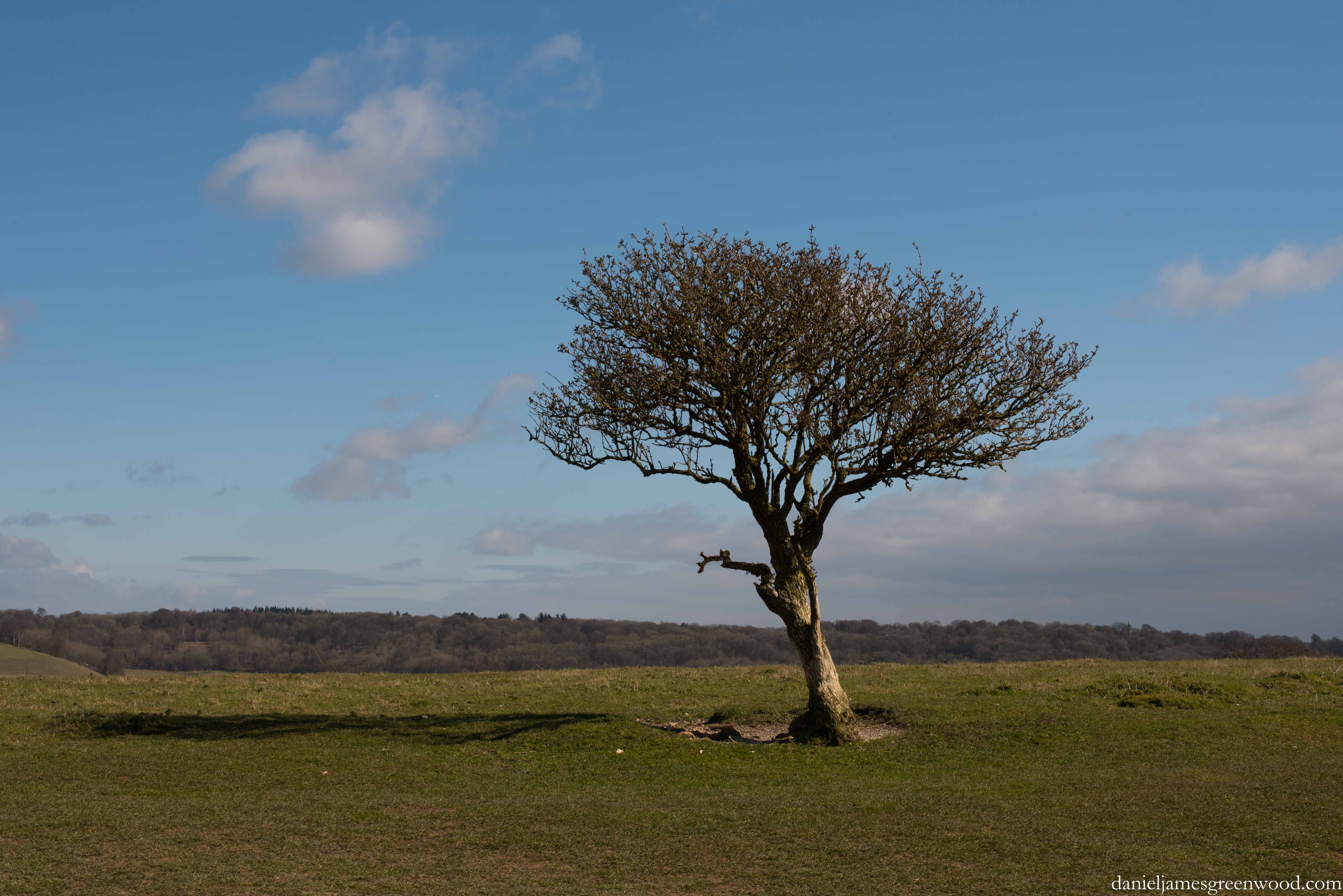 Ivinghoe Beacon, March 2016-2