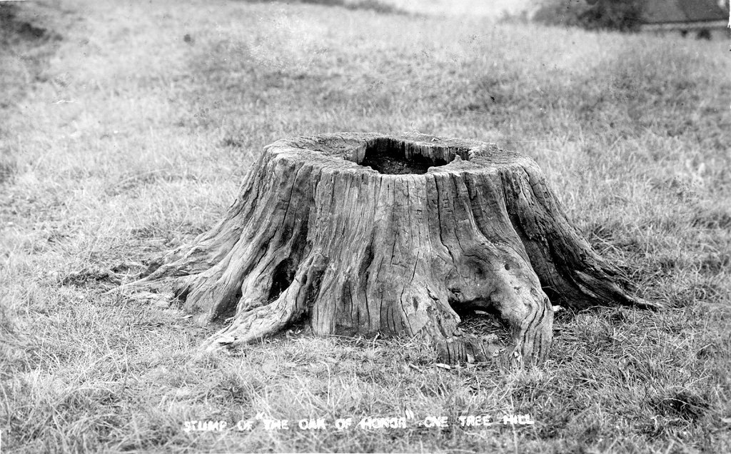 1239142979_e33df99e5b_b