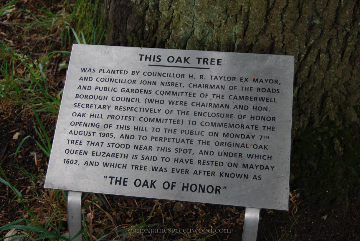 OTH oaks-2