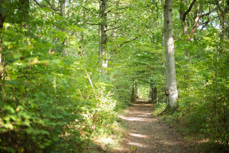 blean-september-2016-lo-res-djg-16