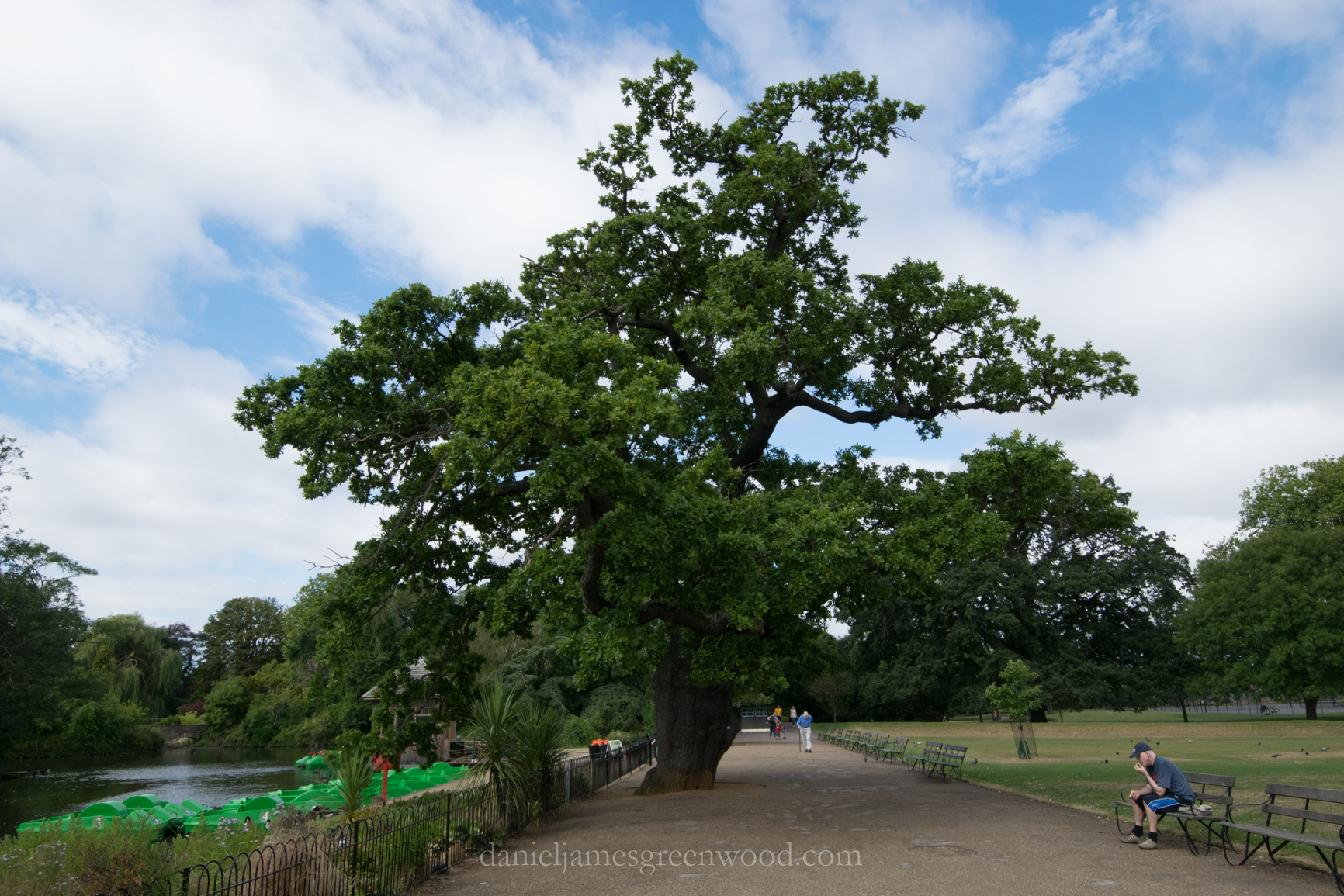 dulwich-park-oaks-22-8-16-lo-res-26