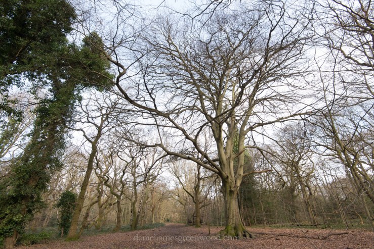 banstead-4-3-17-blog-14