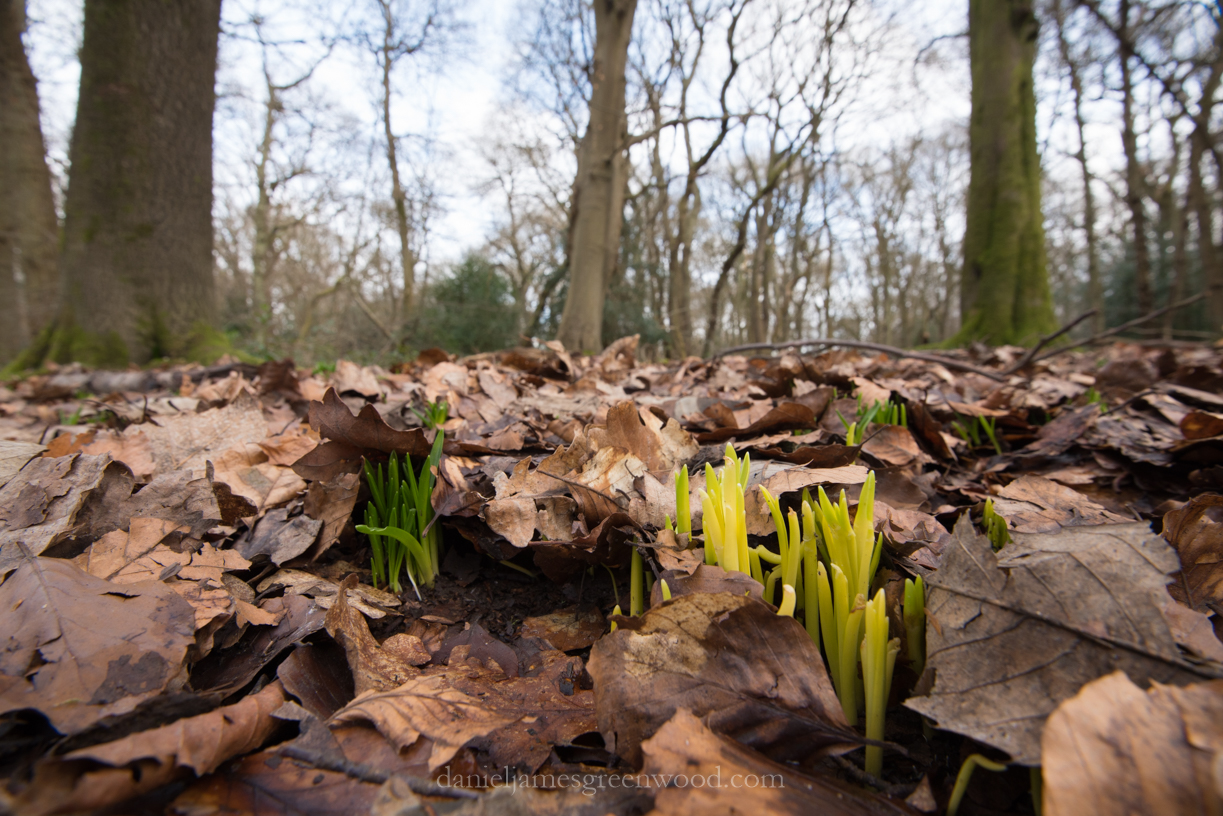 banstead-4-3-17-blog-18