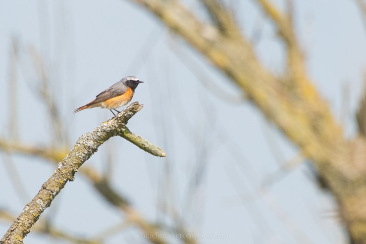 Netherlands 2017 lo-res DJG -41