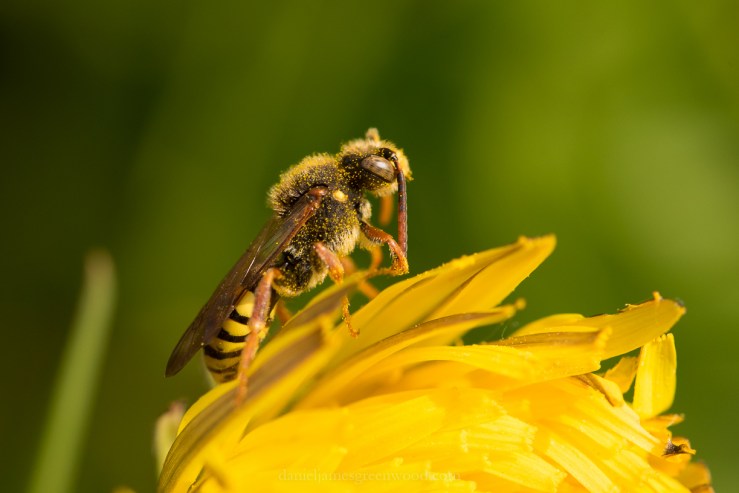 Netherlands 2017 lo-res DJG -83