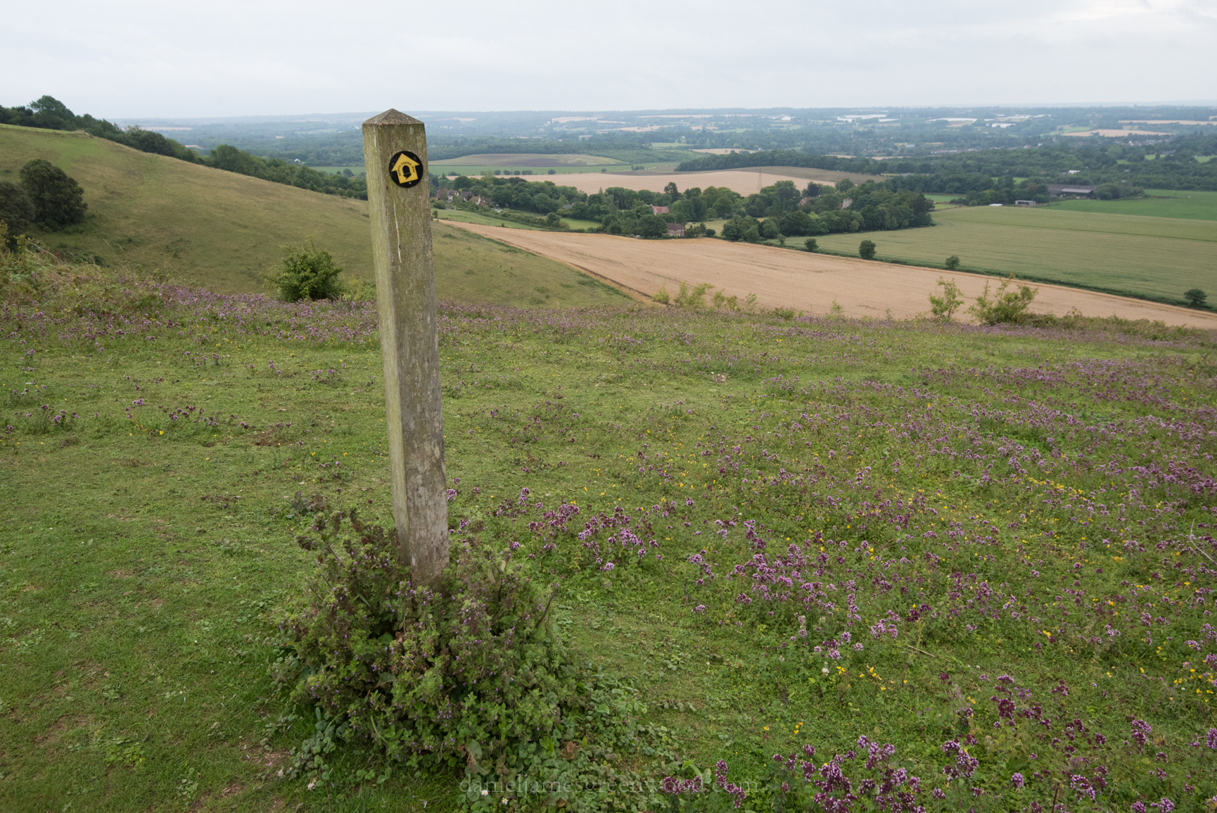 ND - Rochester to Thurnam - 28-7-17 djg-3