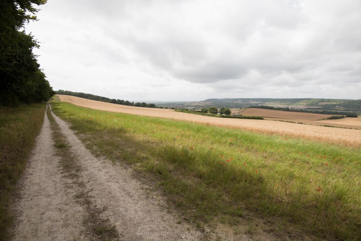 ND - Rochester to Thurnam - 28-7-17 djg-6