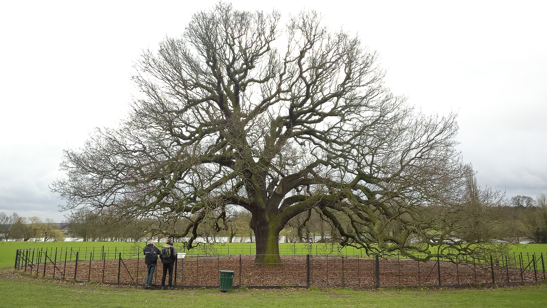 Bexley oaks - March 2017 djg-1
