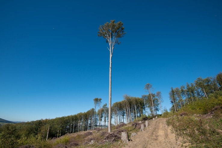 Czechia 2017 lo-res djg-64