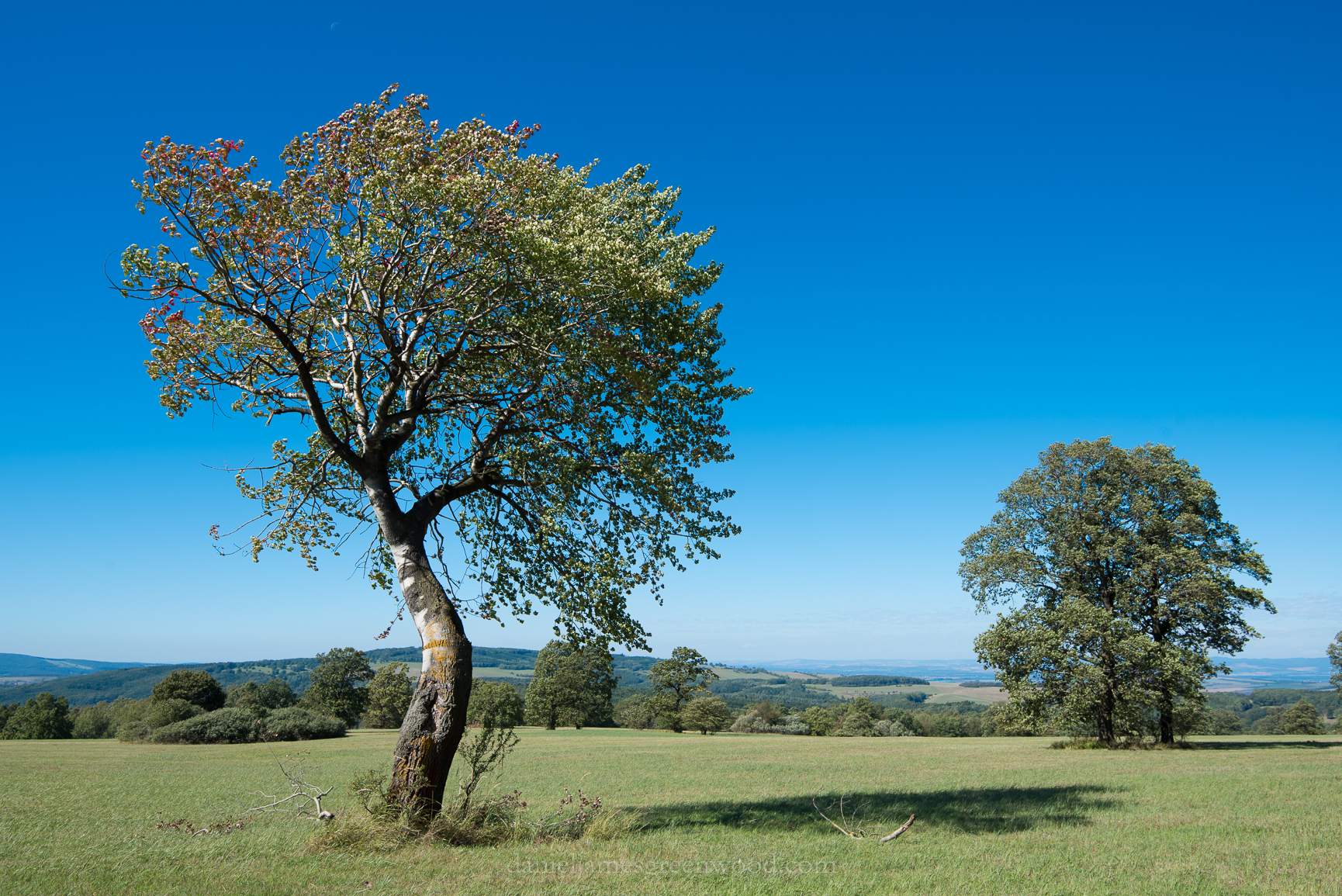 Czechia 2017 lo-res djg-85