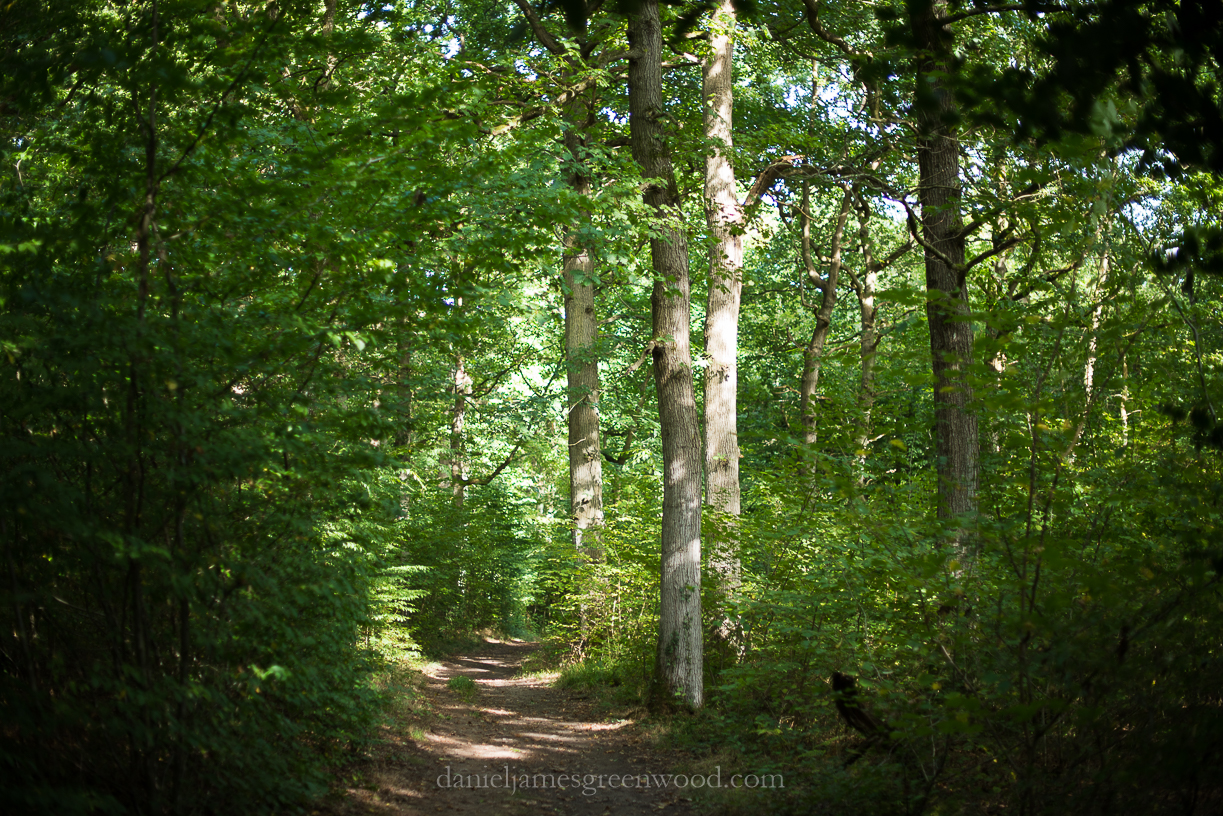 Blean September 2016 lo-res djg-15