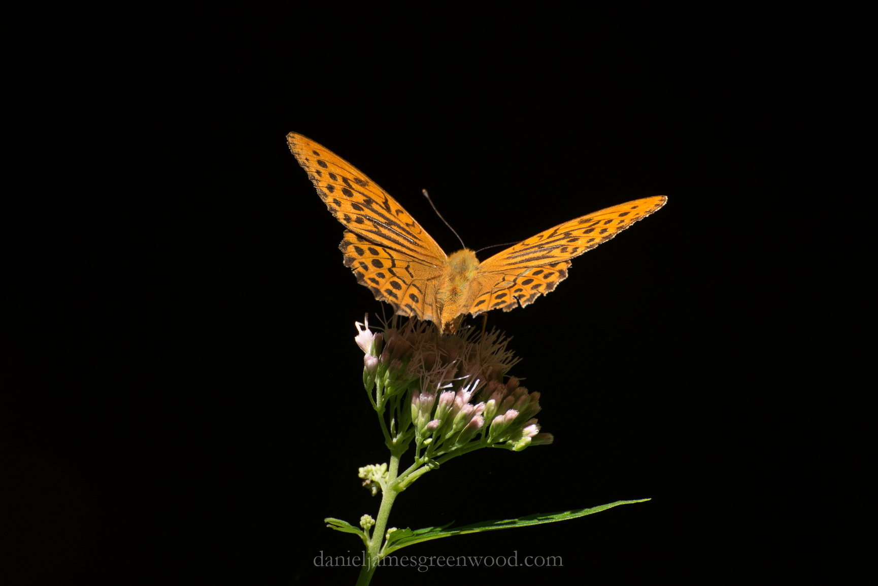 Czech Rep 2016 blog-432