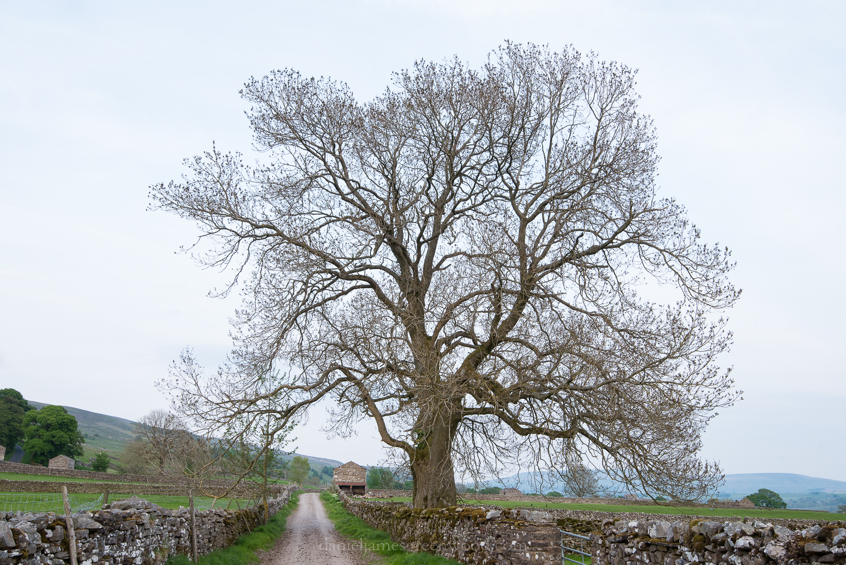 Ash – Unlocking Landscapes