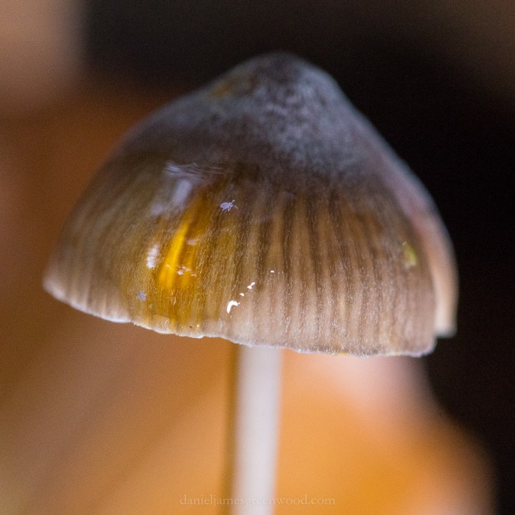 Ebernoe - 7-10-2018 djg-28