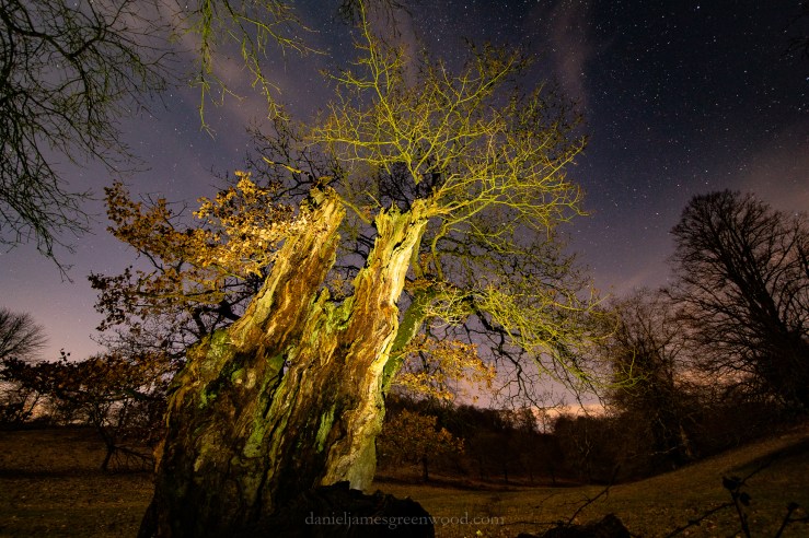 Cowdray - 13-2-2019 djg-8