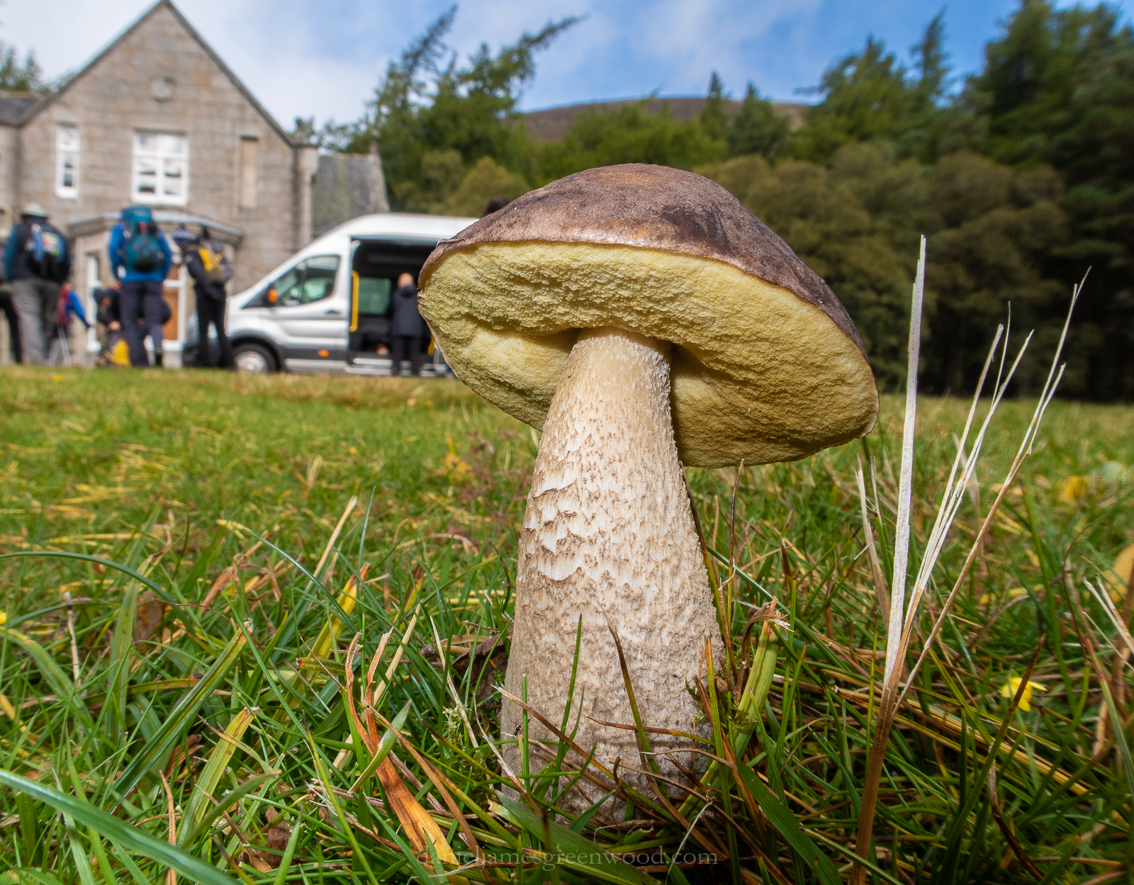 Cairngorms - September 2018 djg-2