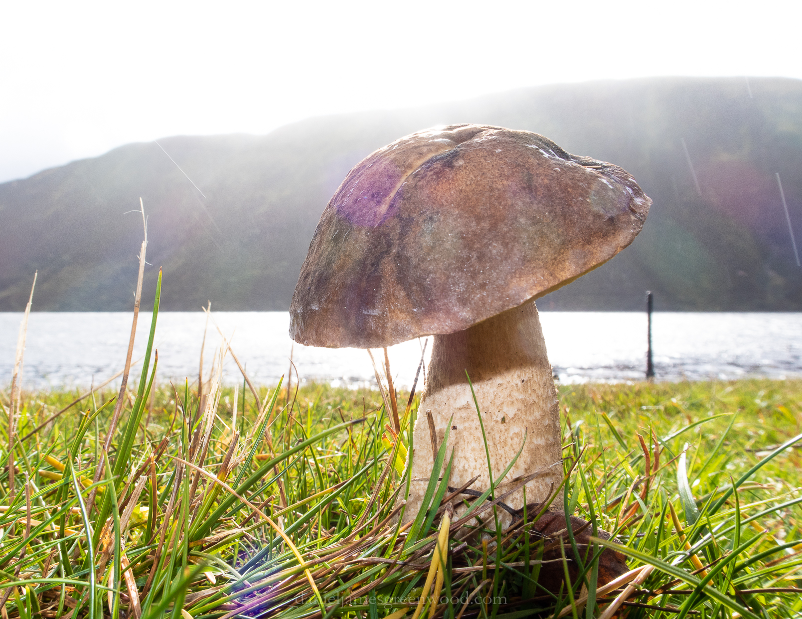 Cairngorms - September 2018 djg-3