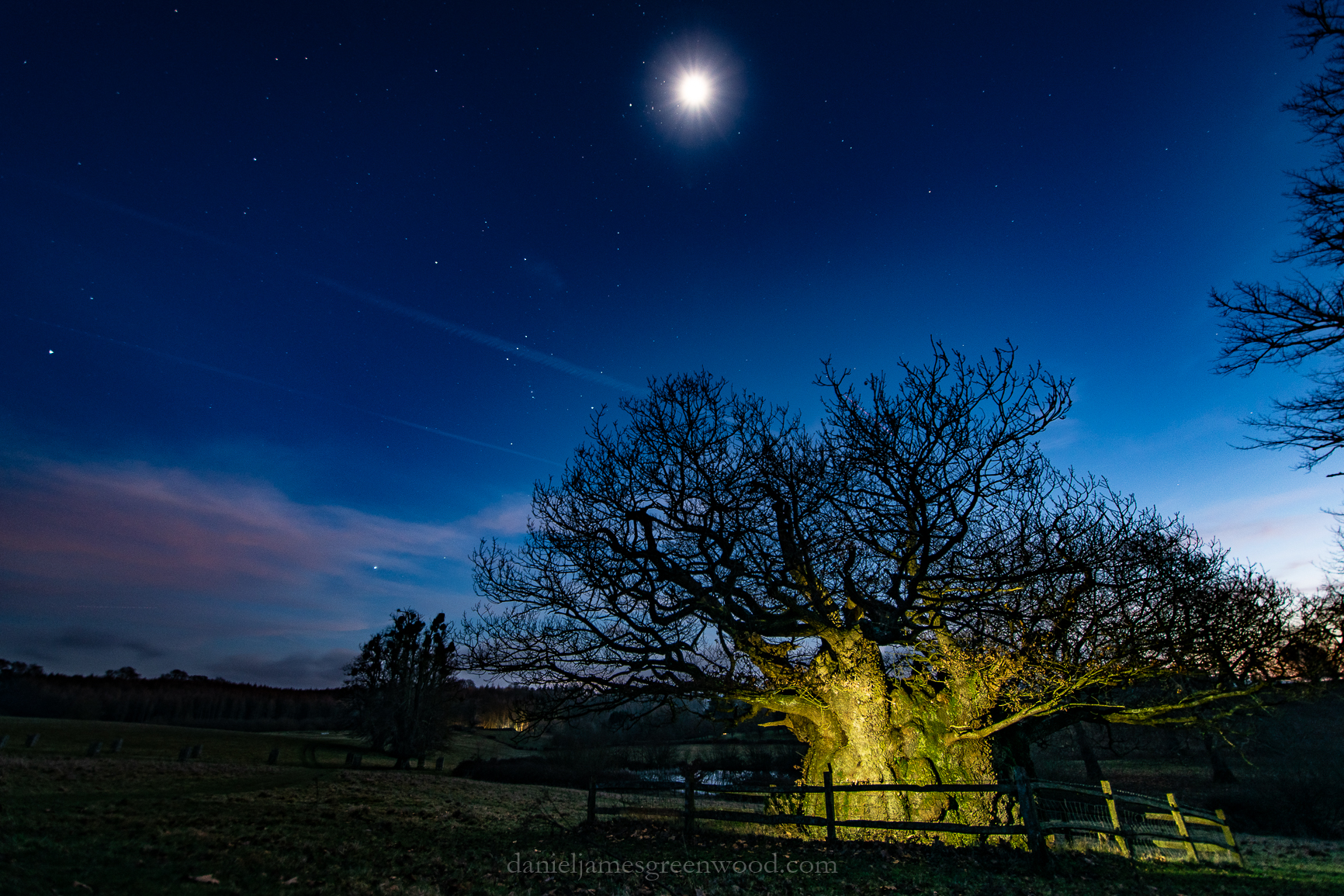 Cowdray - 13-2-2019 djg-3