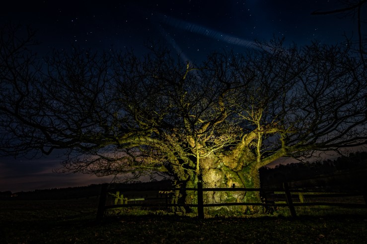Cowdray - 13-2-2019 hi-res-5