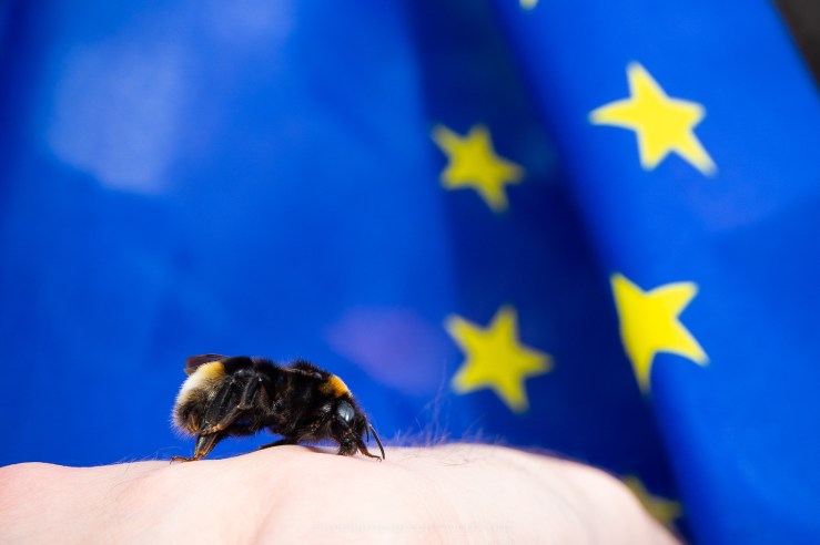 Peoples Vote march - 23-3-2019 djg-15