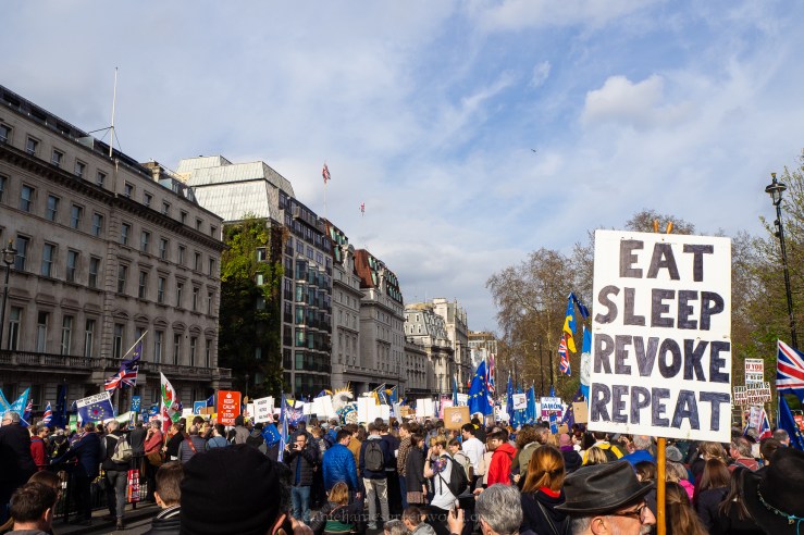 Peoples Vote march - 23-3-2019 djg-27