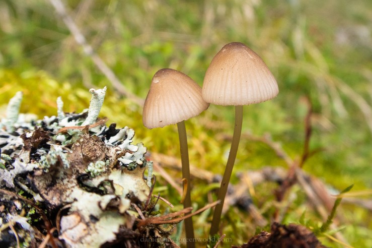 Perthshire - September 2018 djg-24