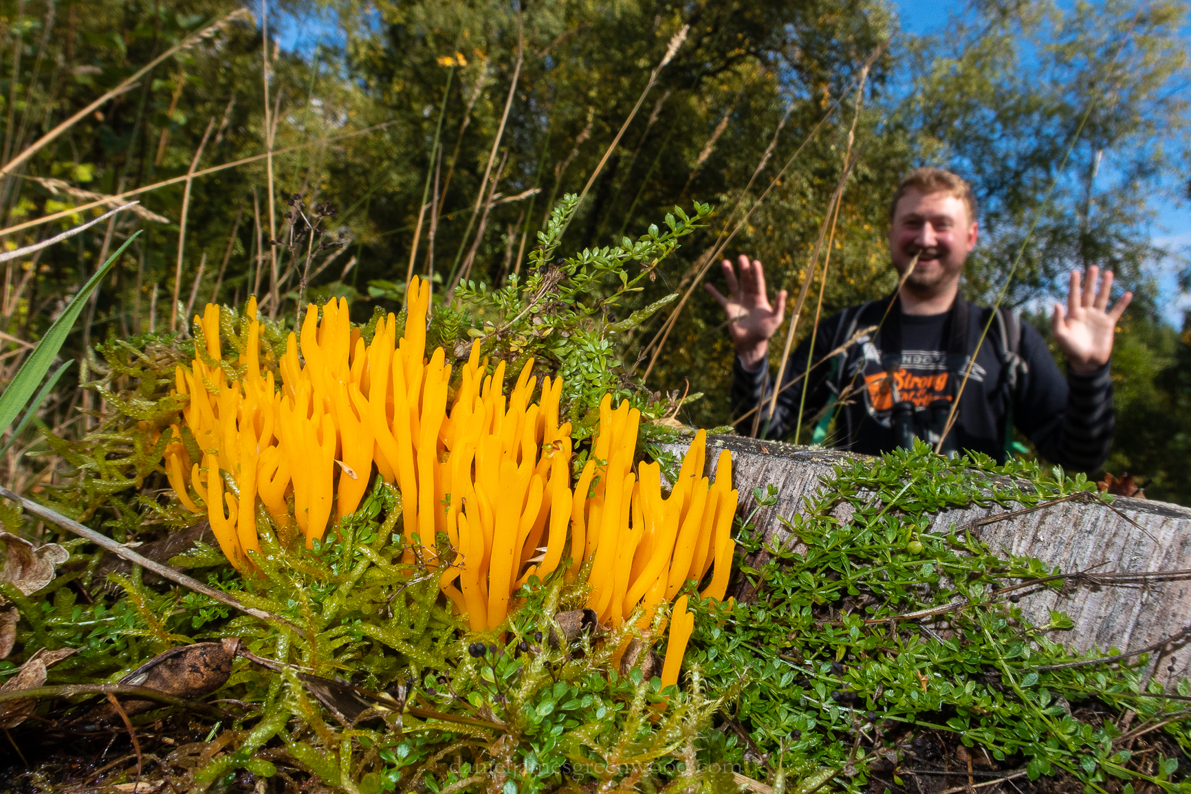 Perthshire - September 2018 djg-28