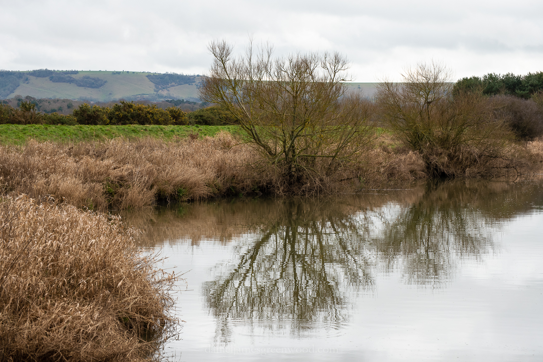 Pulborough - 2-3-2019 djg-1