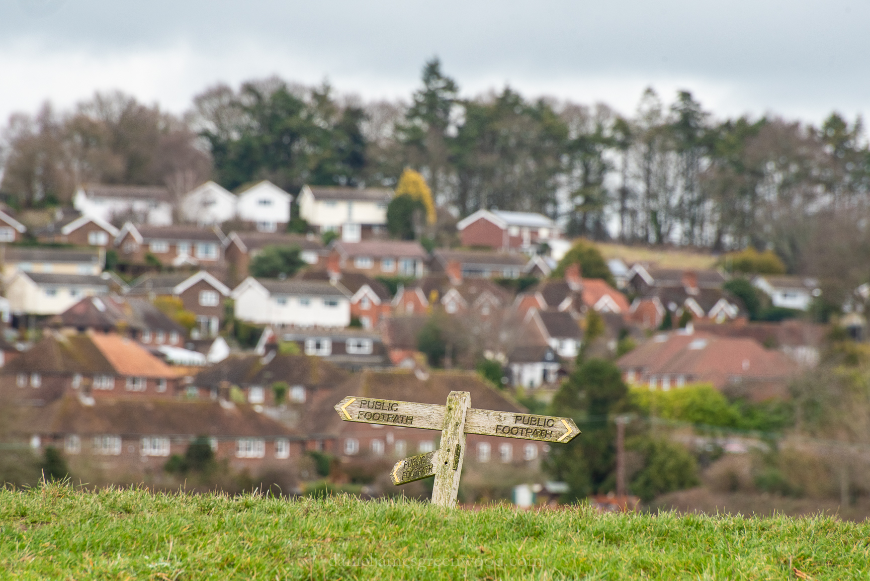 Pulborough - 2-3-2019 djg-2