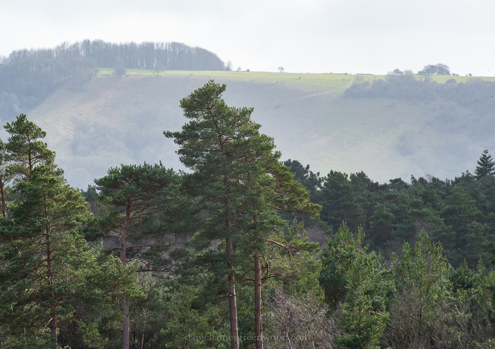 Pulborough - 2-3-2019 djg-42