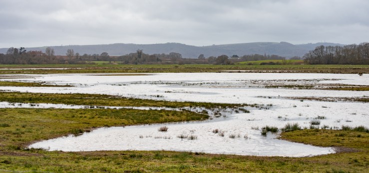 Pulborough - 2-3-2019 djg-51