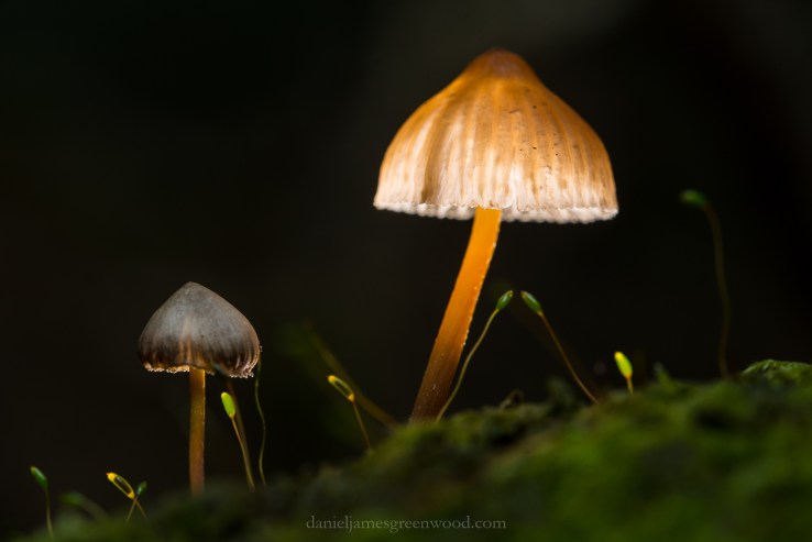 The Mens - 19-10-2018 djg (12)