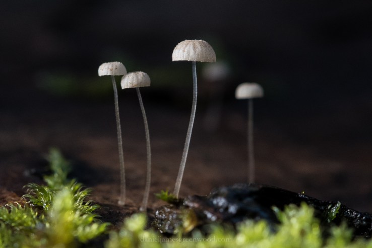 The Mens - 19-10-2018 djg (5)