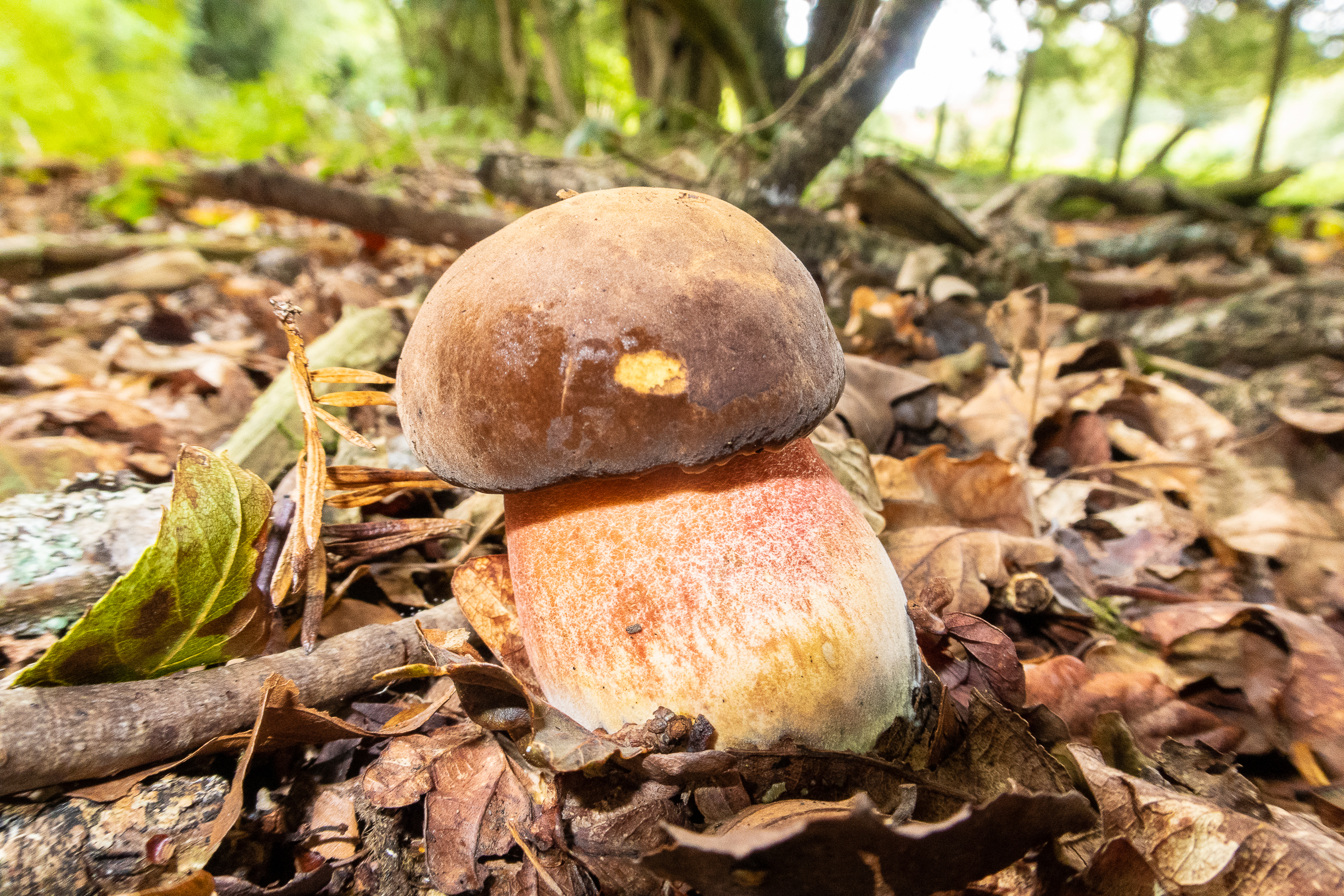 Way in a Day - 14-9-2018 hi-res-1