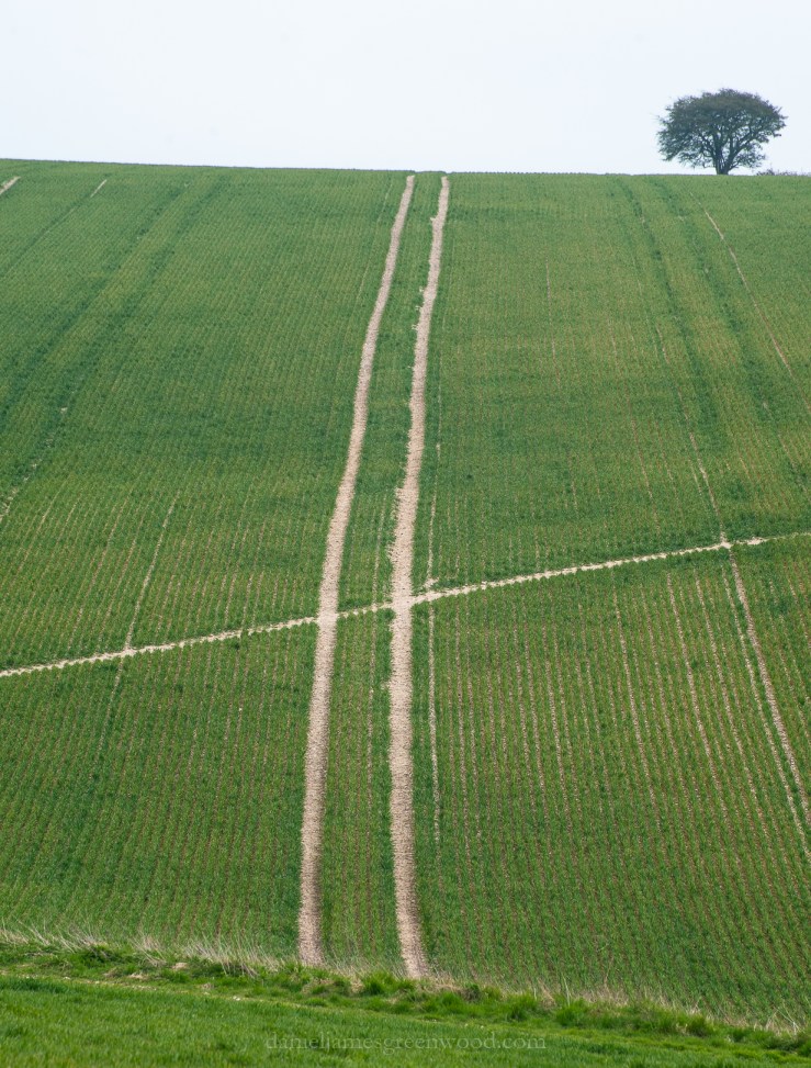 Chantry Hill - 7-4-2019 djg-31