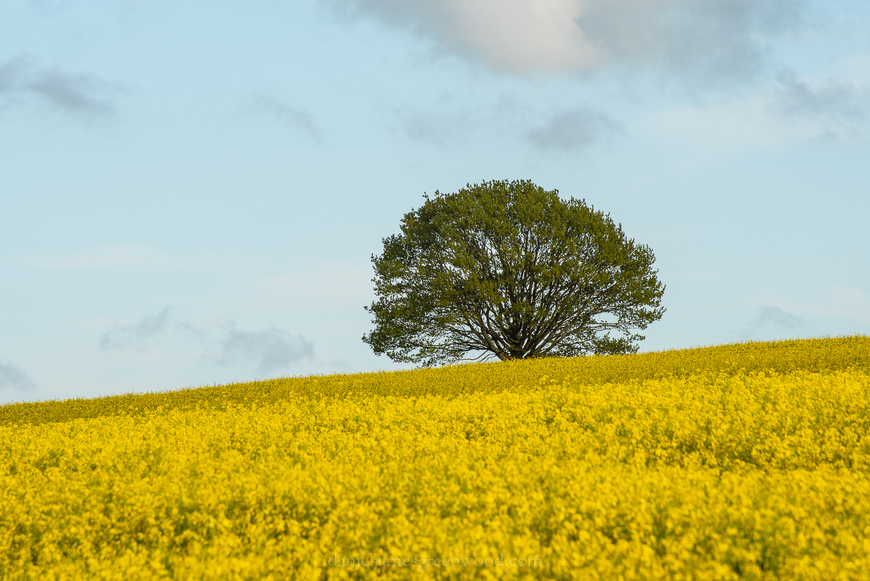 Shelleys - 26-4-2019 djg-122